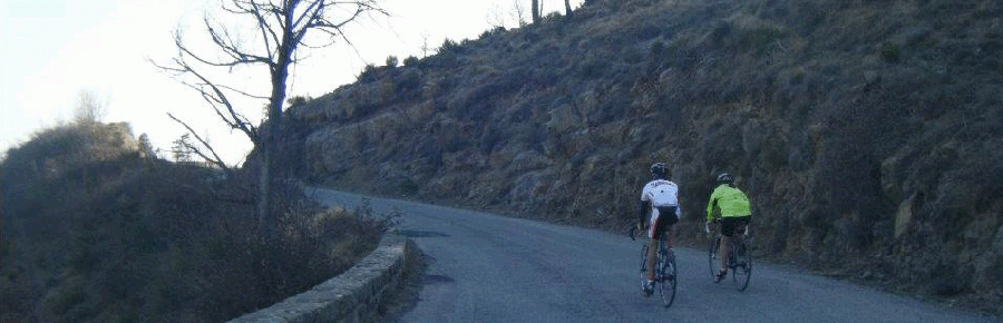 Annual cycling holidays abroad, whether it be to watch stages of one of the classics or carve out some famous climbs